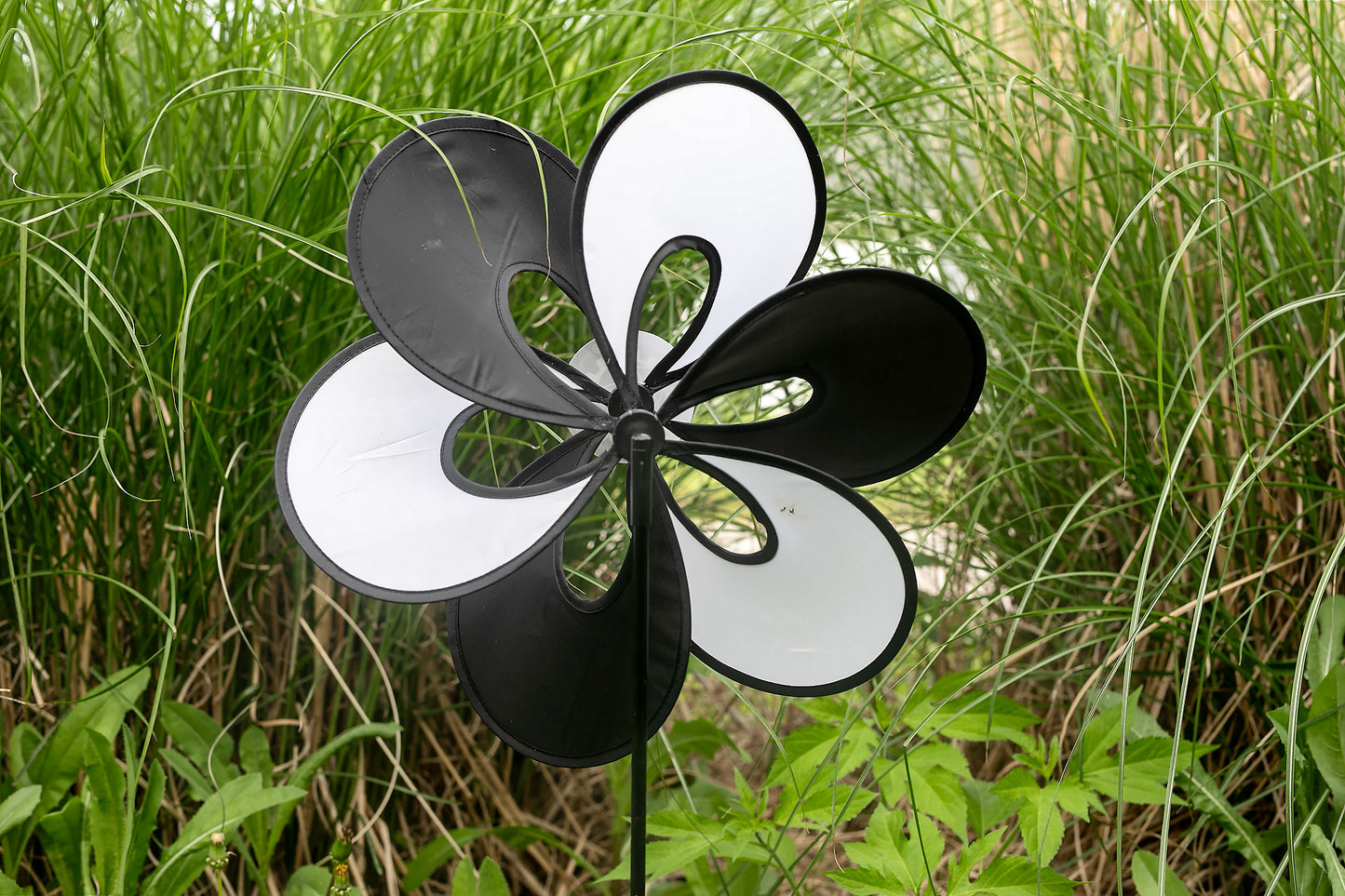 Evolved Ministry Training Pinwheel